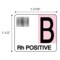 Nevs Label, B Rh Positive 1-1/2" x 1-7/10" White w/Pink & Black LBW-0032 - alternate 2